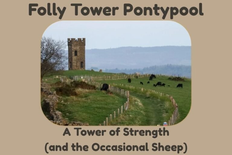 🏰 Folly Tower Pontypool – A Tower of Strength (and the Occasional Sheep)