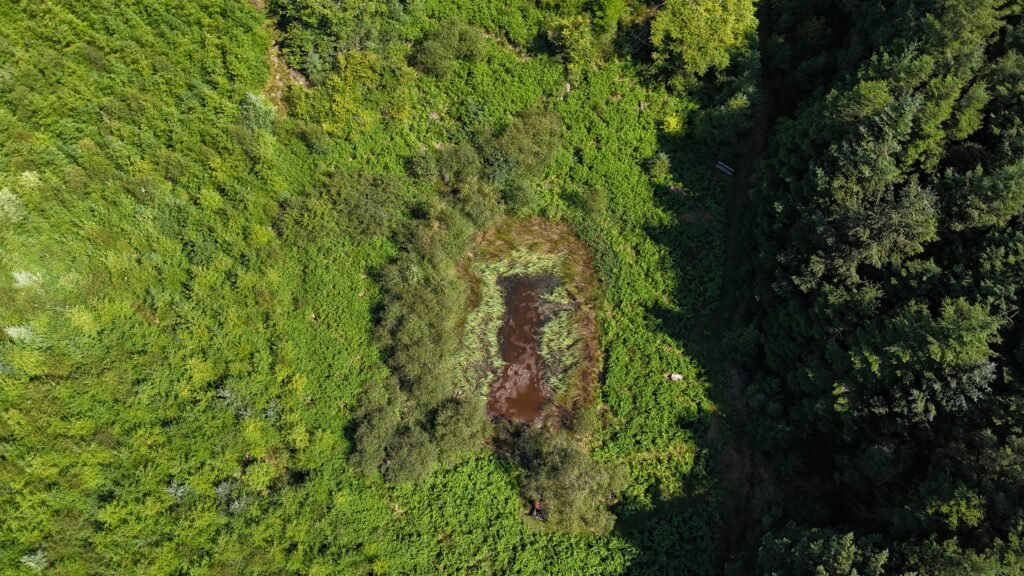 The pool of avarice - aerial shot from above