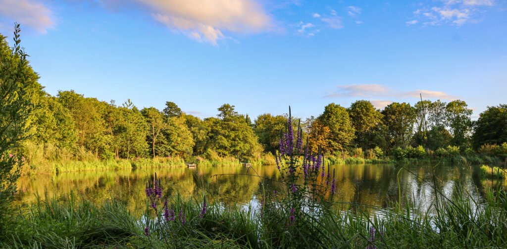 Cwmbran Boating Lake scenic image